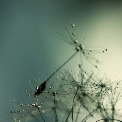 1920 x 1080 HD Wallpapers 2536